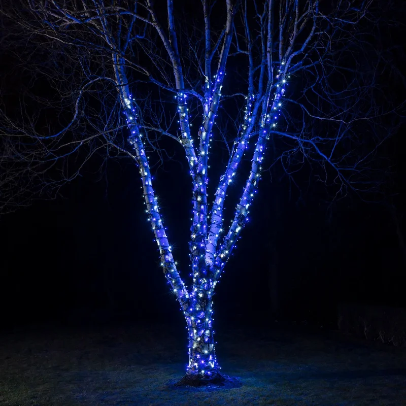 String Lights with Multicolored Bulbs for Festive OccasionsPro Connect 40m 400 Blue & White Connectable String Lights Black Cable String Lights with Multicolored Bulbs for Festive OccasionsPro Connect 40m 400 Blue & White Connectable String Lights Black Cable