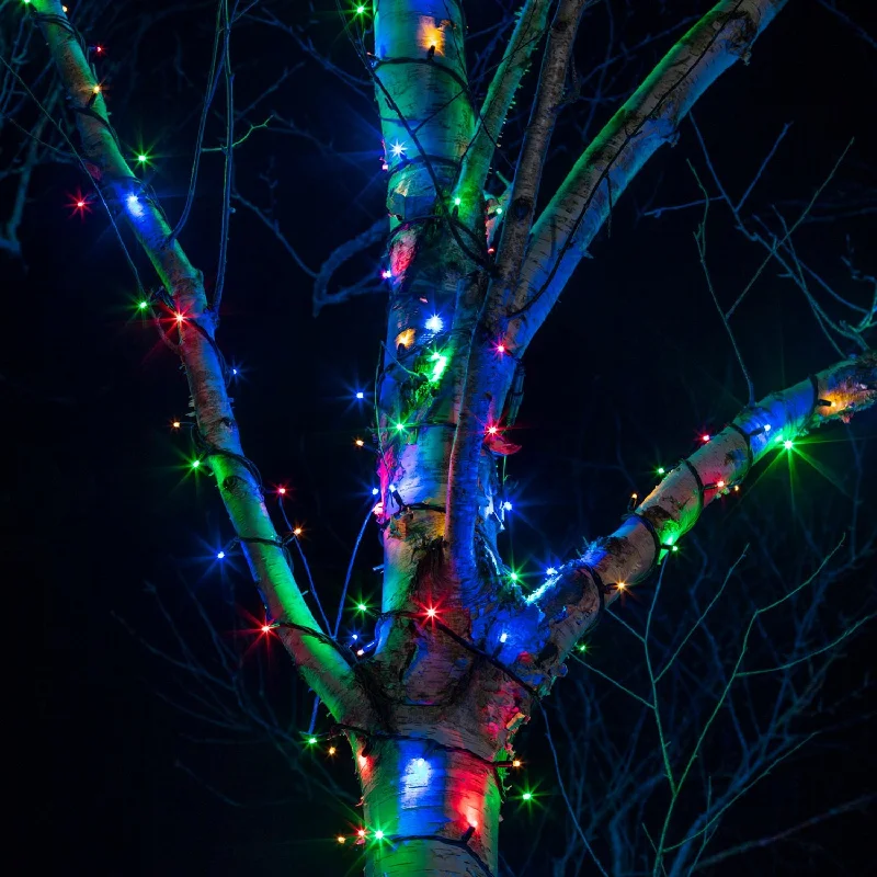 String Lights with Edison Bulbs for Rustic AmbiancePro Connect 45m 450 Multi Coloured Connectable String Lights Black Cable String Lights with Edison Bulbs for Rustic AmbiancePro Connect 45m 450 Multi Coloured Connectable String Lights Black Cable