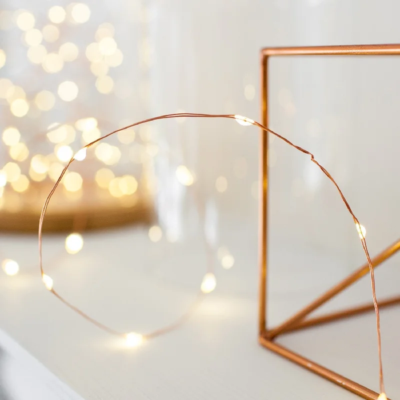 String Lights for Seasonal Decorations (Spring, Fall, etc.)100 Warm White LED Copper Micro Fairy Lights