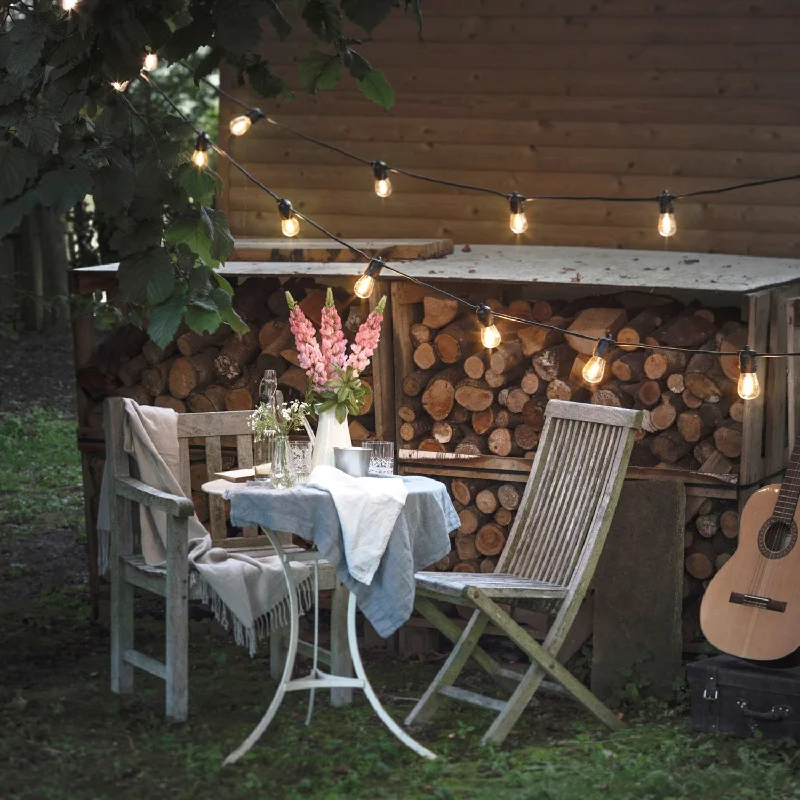String Lights with Clear Bulbs for a Classic LookUltimate Connect 30m 60 Warm White Festoon Lights Black Cable