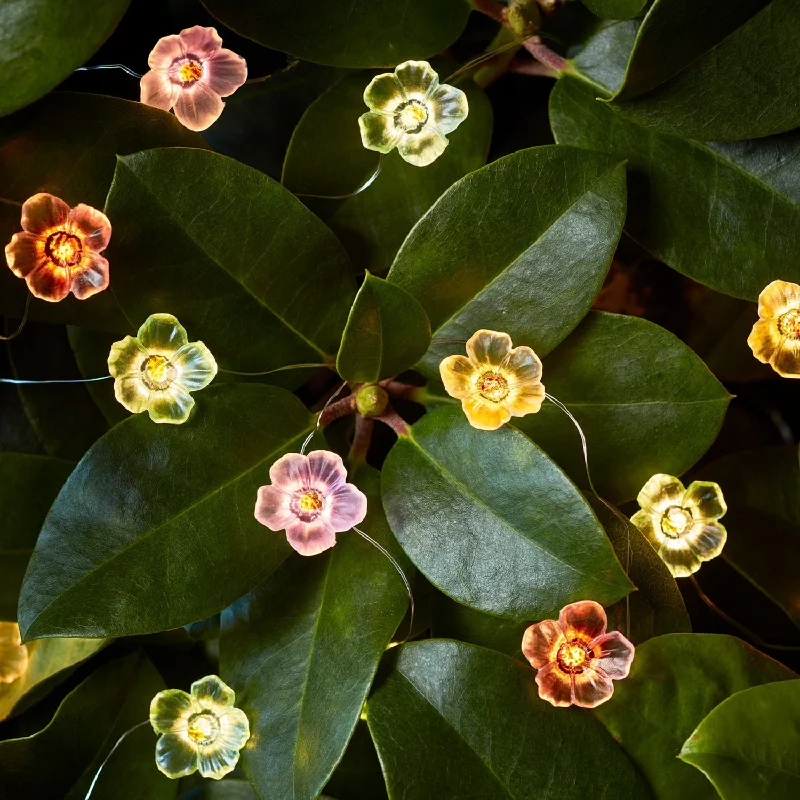 String Lights for Nursery Room Decor20 Multi Coloured Rose Micro Fairy Lights