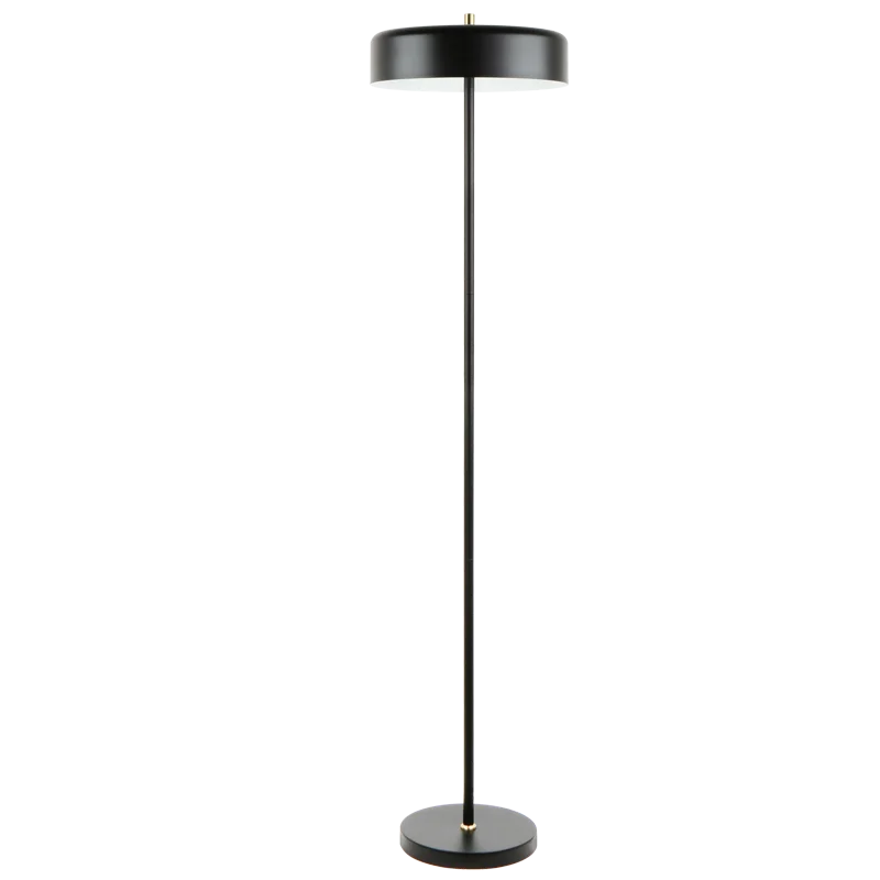 Bohemian Inspired Floor Lamp for Eclectic Home DecorDiaz Black Floor Lamp