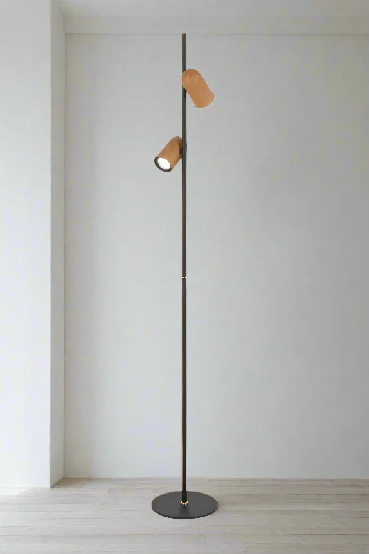 Adjustable Height Floor Lamp for Versatile Lighting NeedsKialla Twin Floor Lamp