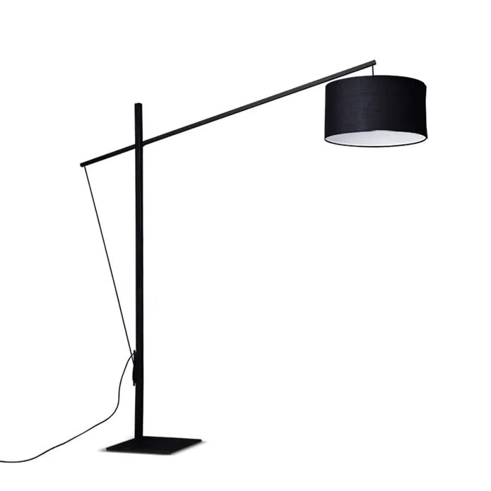 Adjustable Height Floor Lamp for Versatile Lighting NeedsLovable Black Floor Lamp